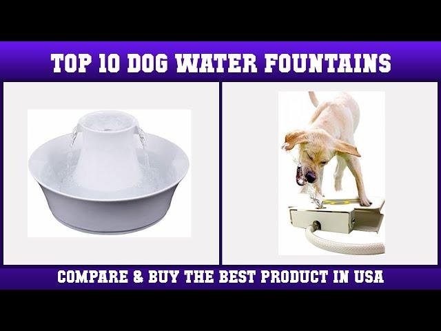 Top 10 Dog Water Fountains to buy in USA 2021 | Price & Review