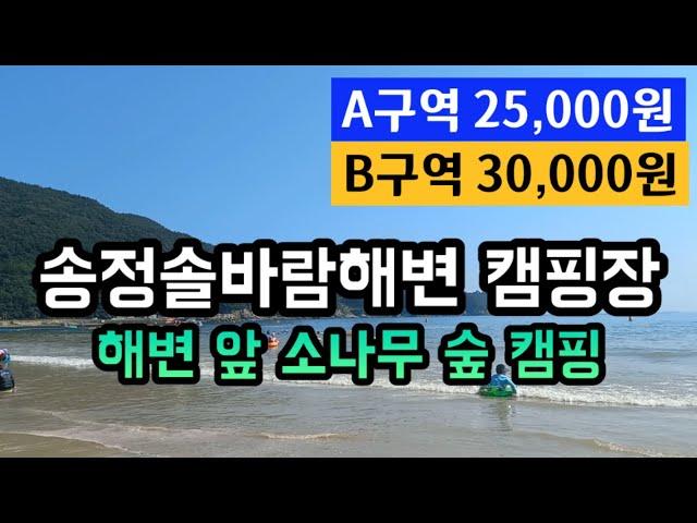 서핑,스노클링 즐기기 좋은 바다 앞 송정솔바람해변캠핑장ㅣ남해 소나무 그늘 숲 바다캠핑장ㅣ남해여행  코스 가볼만한곳ㅣ송정솔바람해수욕장 가성비 저렴한 숙박ㅣ오션뷰 바다캠핑 추천