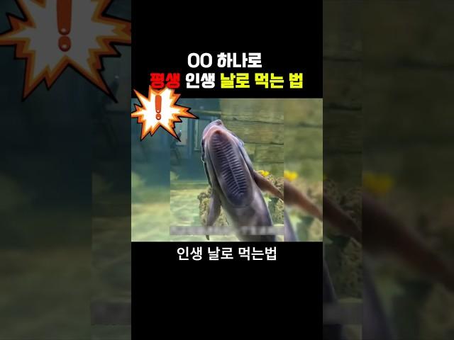 이거 하나로 인생 날로먹기 가능?