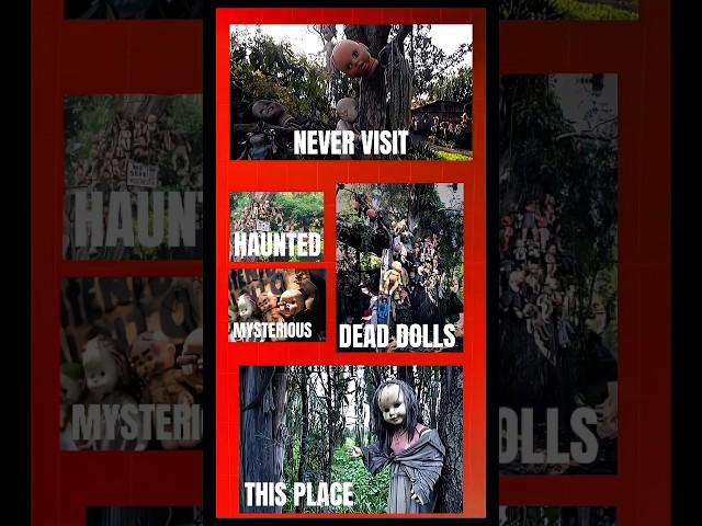 "Would You Dare Visit the Island of the Dead Dolls?" #factoftheday  #horrorstories #mysterious