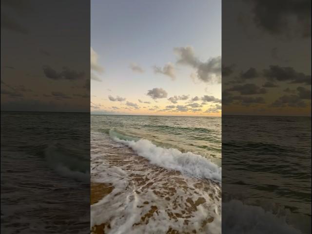 Most Peaceful Ocean Waves Before Sunrise️