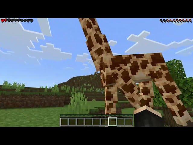 Animals ADDON in Minecraft PE