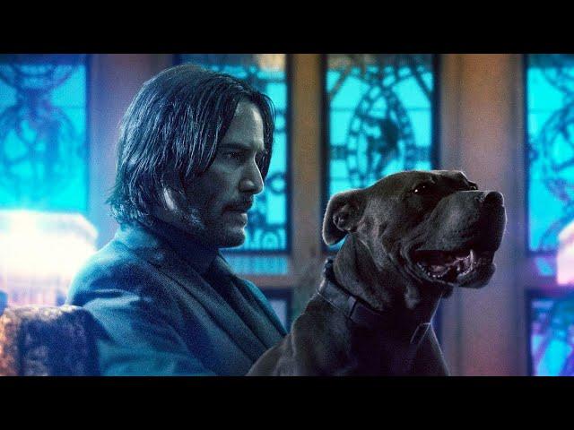 John wick whatsapp status