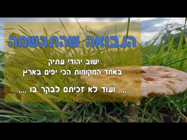 הנבואה שהתגשמה - ישוב יהודי עתיק באחד המקומות היפים ביותר בארץ - תל חייא. נמצא בישוב איתמר בשומרון