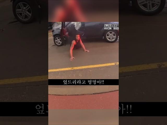 미국에서 음주운전하고 경찰에게서 도망가면 벌어지는 일