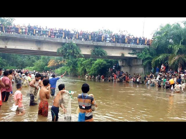 ADA YANG ANEH DI SUNGAI INI....? SEMUA IKAN UKURANNYA BESAR-BESAR SEMUA