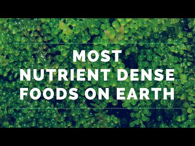 4 of the Most Nutrient Dense Foods on Earth