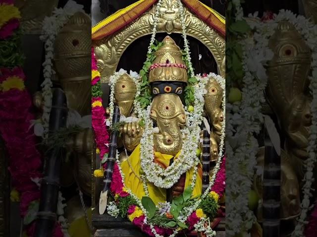 sankata hara chathudathi #devullubhakthichannel #vinyaka #ganapathisongs