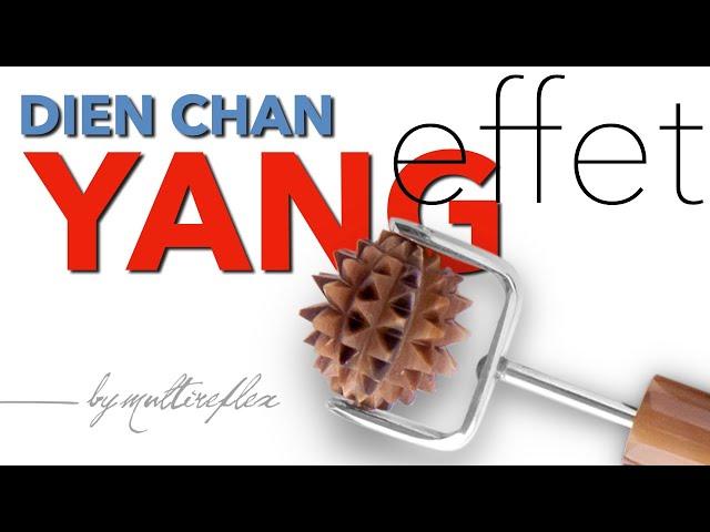 DIEN CHAN YANG effect [  ]