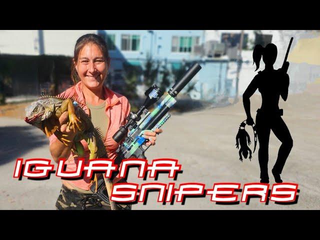 Shooting Iguanas All Around Town: Iguana Snipers