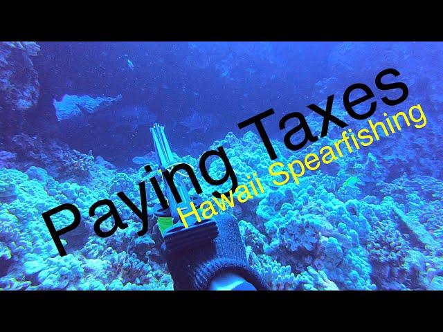 Paying Taxes | Hawaii Spearfishing 2020