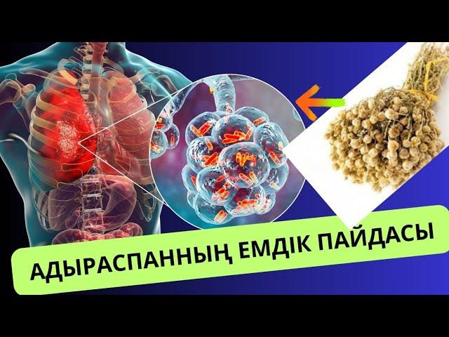 АДЫРАСПАННЫҢ сіз білмейтін емдік қасиеті.АДЫРАСПАН шөбінің пайдасы.