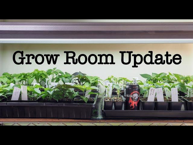 April Growroom Update