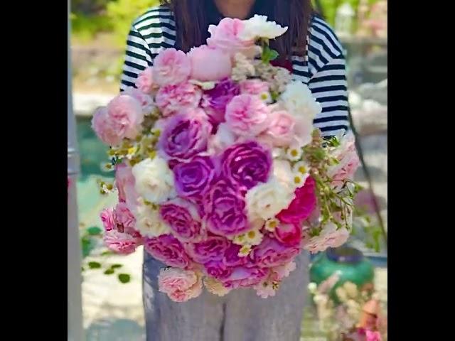 Today’s rose harvest.