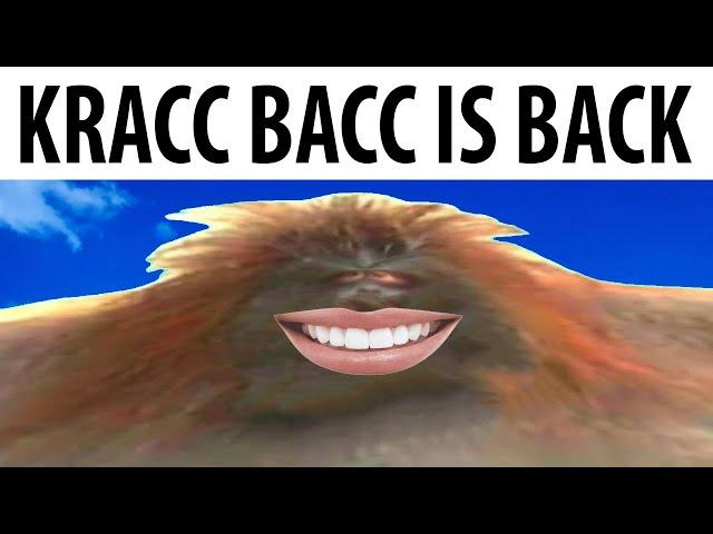 Kracc Bacc is back