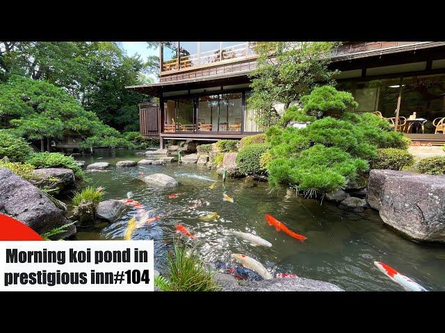 Koi pond in a prestigious inn "Matsudaya hotel, Yamaguchi, Japan"（山口、松田屋ホテル）