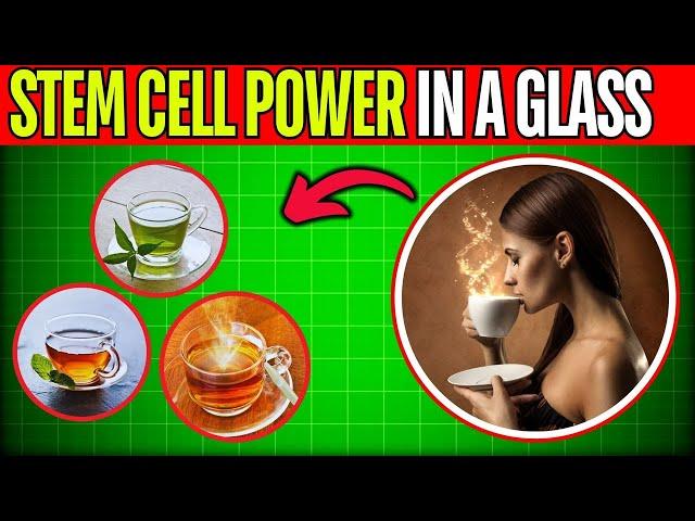 3 Miraculous Drinks That Boost YOUR Stem Cells And Promote Longevity!