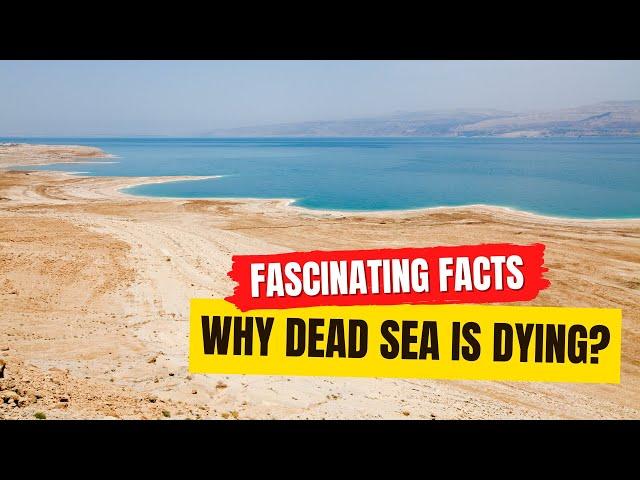 Dead Sea Facts!