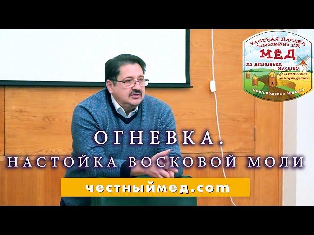 Огневка. Геннадий Семыкин о настойке восковой моли.