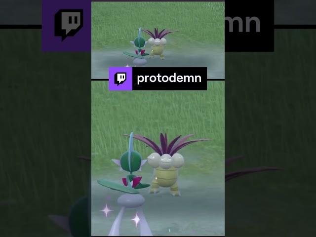An unexpected surprise | protodemn on #Twitch