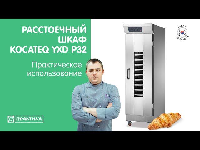 Расстоечный шкаф Kocateq YXD P32 | Расстойка сдобных булочек | Обзор от Дениса Машкова