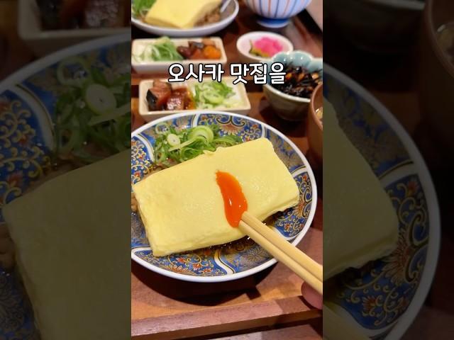오사카 6박 26끼 진심맛집 족보정리