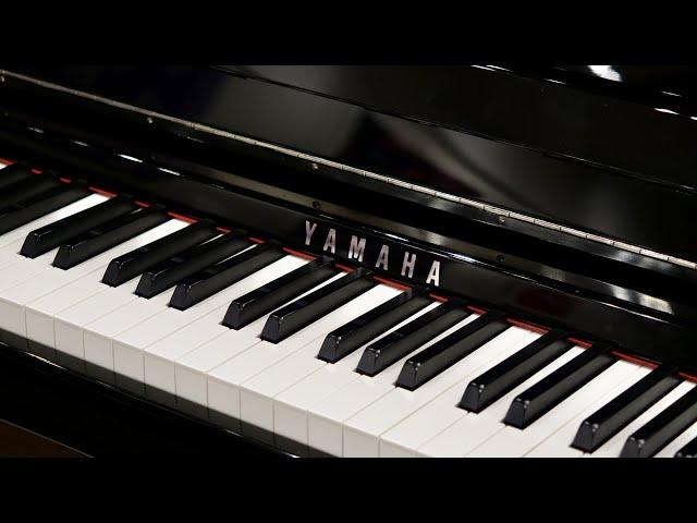 Yamaha CLP 785PE Clavinova Polished Ebony Digital Piano | Sherwood Phoenix