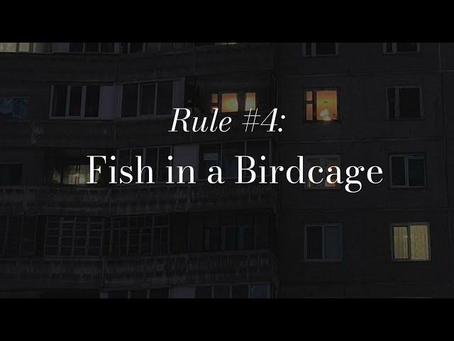 Rule #4 Fish in a Birdcage - Fish in a Birdcage (Lyrics video)