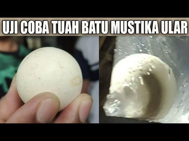 Tuah Batu Mustika Ular, Uji Coba Keampuhannya