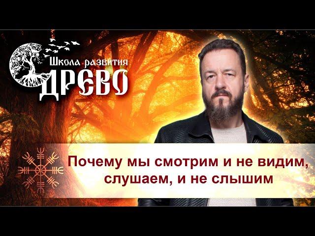 Почему мы смотрим и не видим, слушаем, и не слышим