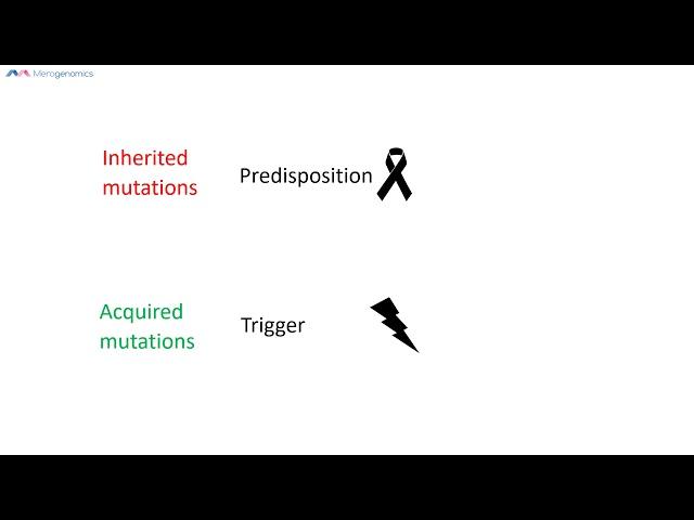 Cancer DNA testing options with focus on genetic predisposition testing | Merogenomics