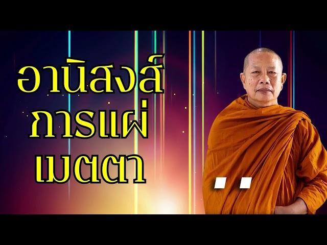 อานิสงส์การแผ่เมตตา..ธรรมะคลายทุกข์ พระมหาบุญช่วย ปัญญาวชิโร