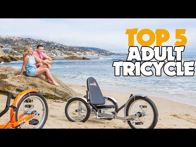 Best Picks of 2023: Adult Tricycle!