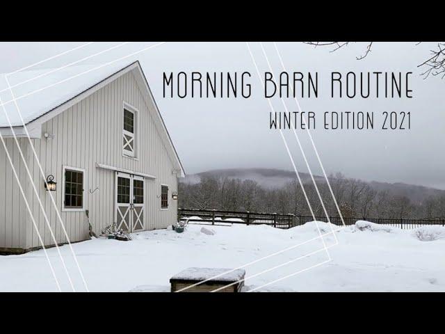 Winter Morning BARN ROUTINE & Feeding Horses | Another Day in the Life + Barn Chores EQUESTRIAN VLOG