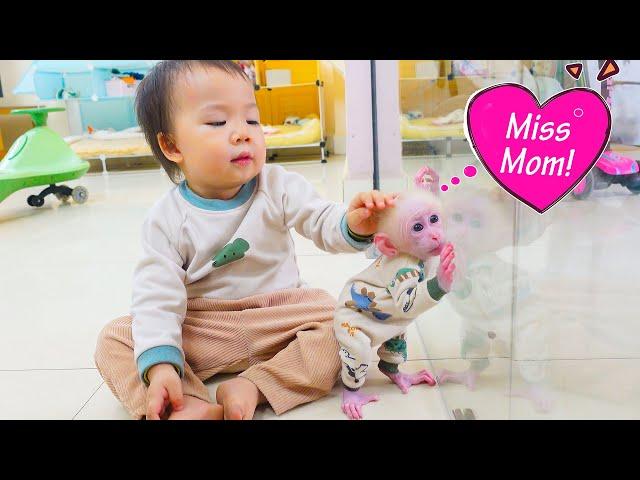 Cute, Nguyen takes care of baby monkey Poki when mom is away