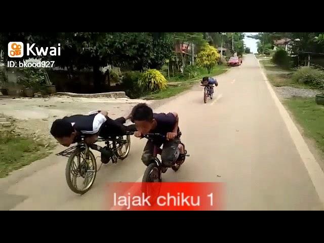 Lajak chiku 1