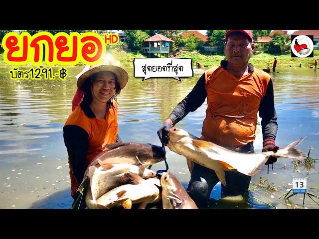 ยกยอได้ปลา 200 กิโล ►Fishing lifestyle Ep.407