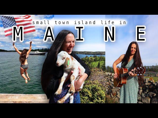 I DID NOT EXPECT THIS...  north haven island maine travel vlog