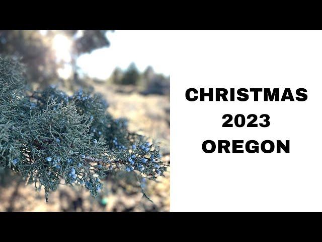 CHRISTMAS 2023 AT THE VLADIC RANCH