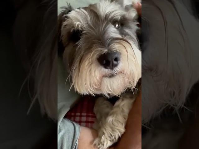 Franklin’s was told mommy’s on her way… watch his expression 