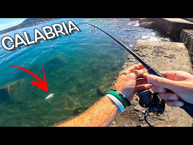 Light Shore Fishing in Calabria, Italy - 6 Different Fish Species: New Species & Personal Best!