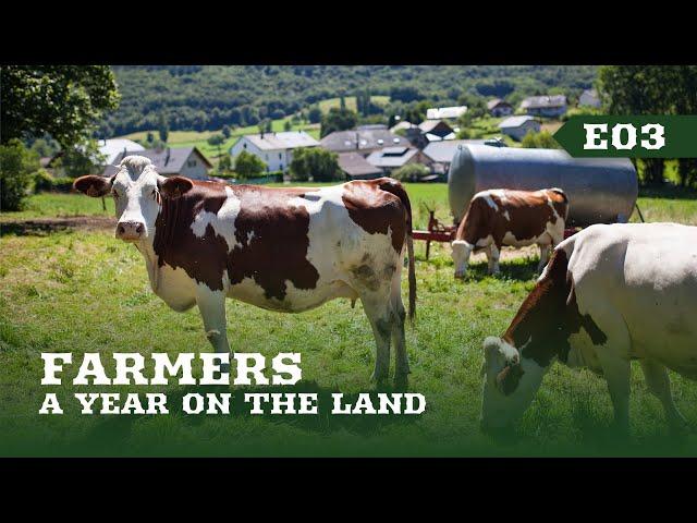 Farmers: A Year On The Land | E03 Beef | Full documentary