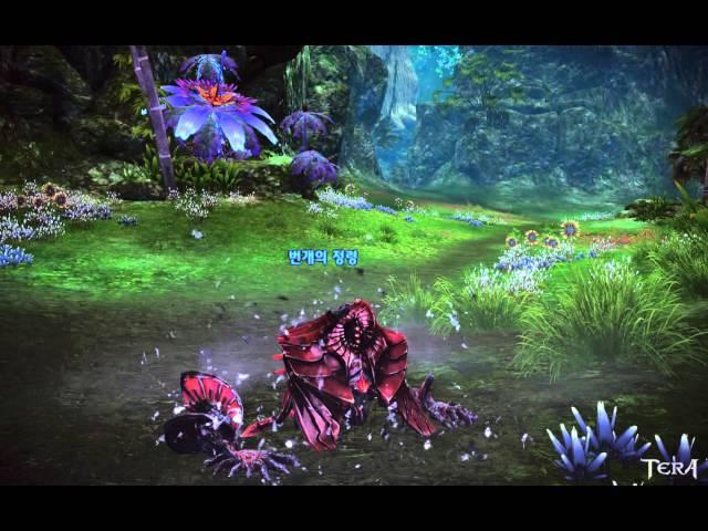 TERA KOR - T4: Mystic Summon's new end animations