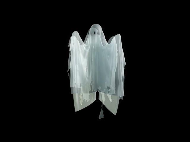 Halloween Projection Loop Floating Ghost