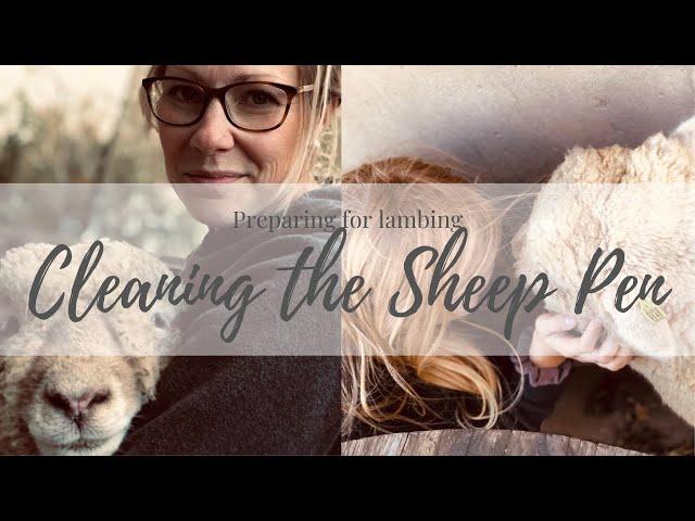 Cleaning the Sheep Pen | Preparing for Lambs