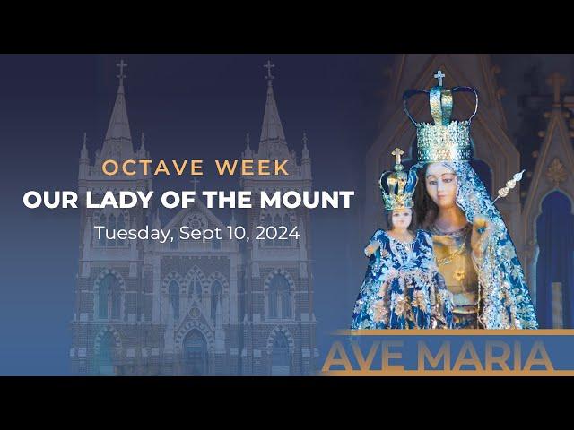 Day 3 | Octave Week | Basilica of Our Lady of the Mount, Bandra West