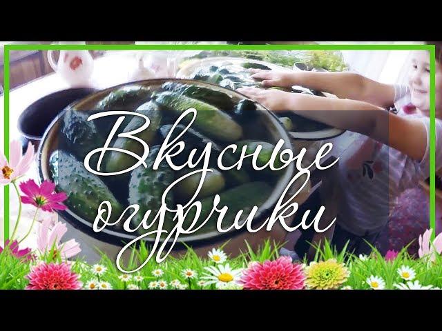  Засолить огурцы может каждый / Огурцы без закатки