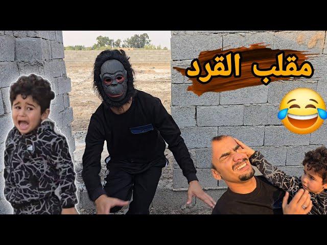 مقلب القرد بالكوري كام يبجي وضرب علاوي لكينة جرو صغير وطب بالحفرة والكوري يريد يطب يطلعة