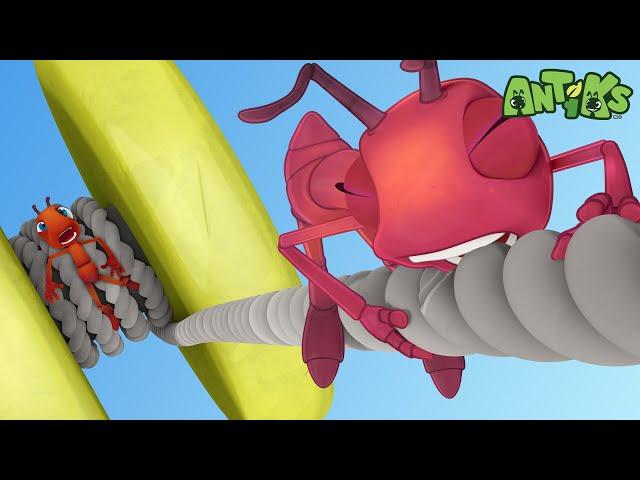 Yo-Yo | Antiks  | Funny Cartoons for Kids