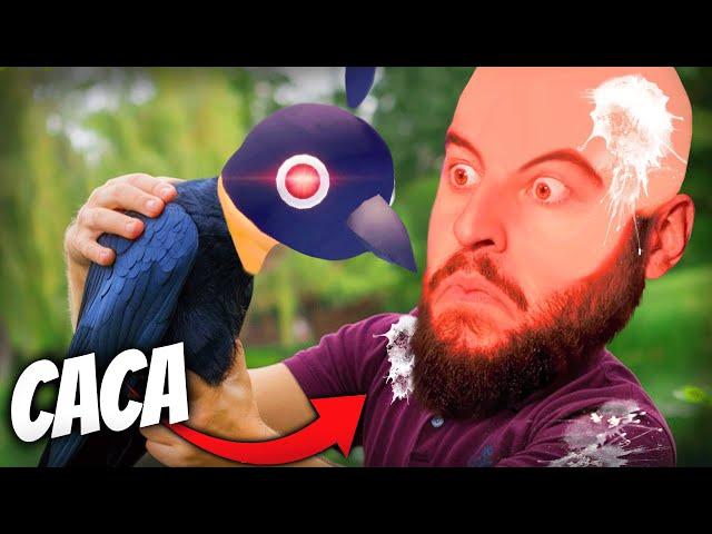 Este CUERVO TROLL se C4G4 en TODO EL MUNDO | Delincuervo - Just Crow Things
